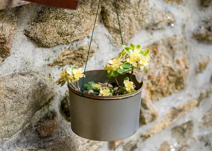 Cantinho Do Lucio Holiday home *